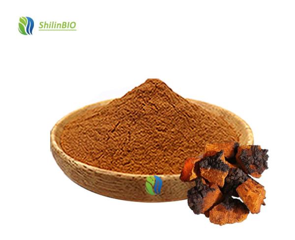 Chaga Mushroom Extract 30-45% Polysaccharides