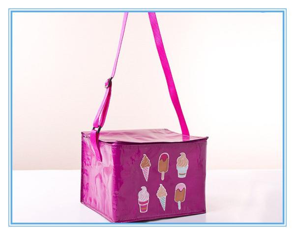 Food 6 Can Insulated Cooler Bags Laminated Pp Woven Outdoor Fitness With Aluminum
