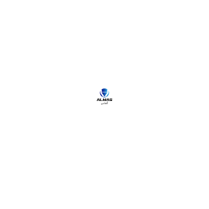 ALMAS Co., Ltd.