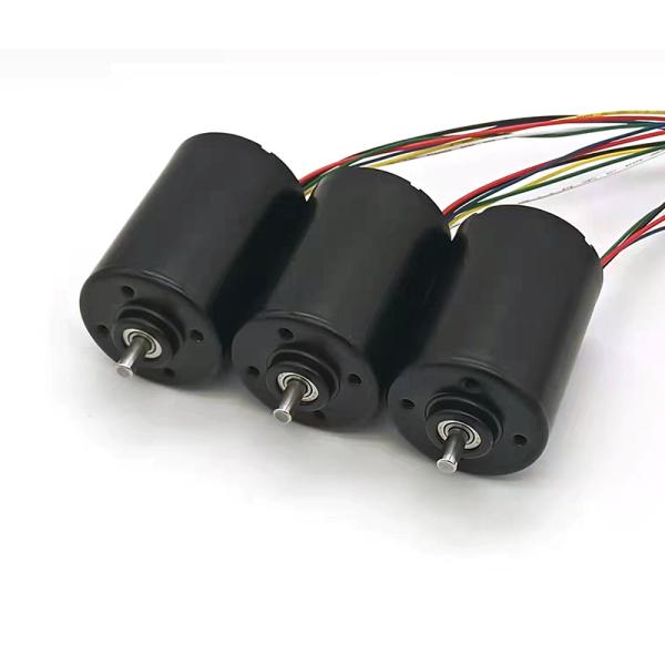 Faradyi Hot Sale High Speed 12V DC Motor Customizable Driver Brushless DC Motor For Robot