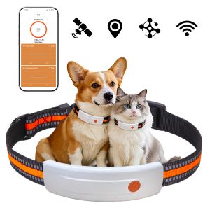 Energy Intelligent Pet Devices Providing Remote Access and Customizable Alerts