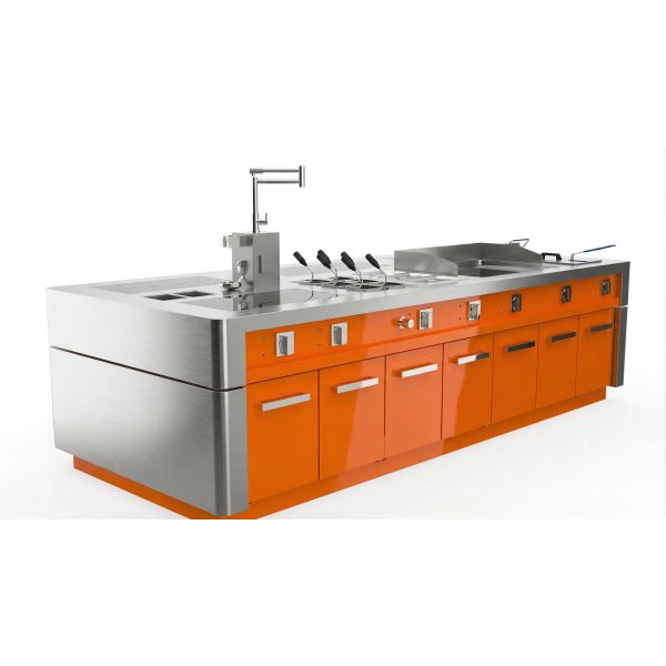 Intergrated Island Cooker