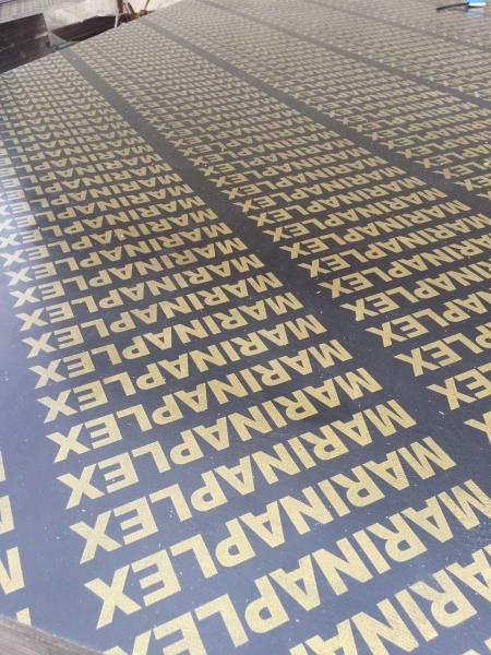 Solid Wood Film Faced Plywood With Maple Veneer Board Surface Material