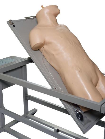Comprehensive Puncture Clinical Simulation Various Postions for Hospitals Training
