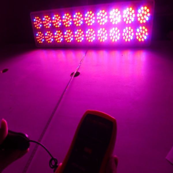 300*3W Apollo 20 LED grow light / full spectrum plant led light for hydroponics grow tent