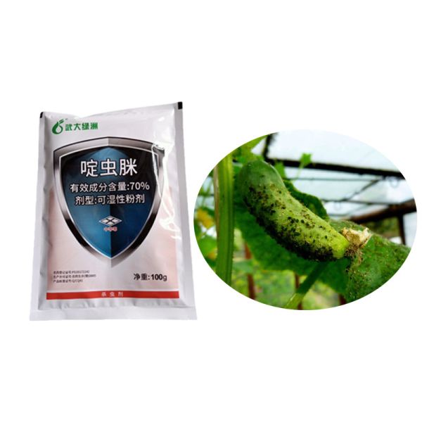 Safe 70% Acetamiprid Insecticide WP For Vegetable Plants Aphid Killing
