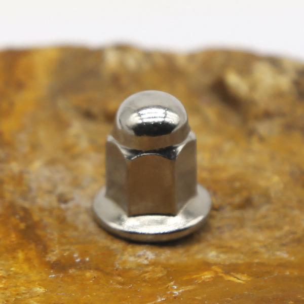 Stainless Steel Nut  Screw Customization