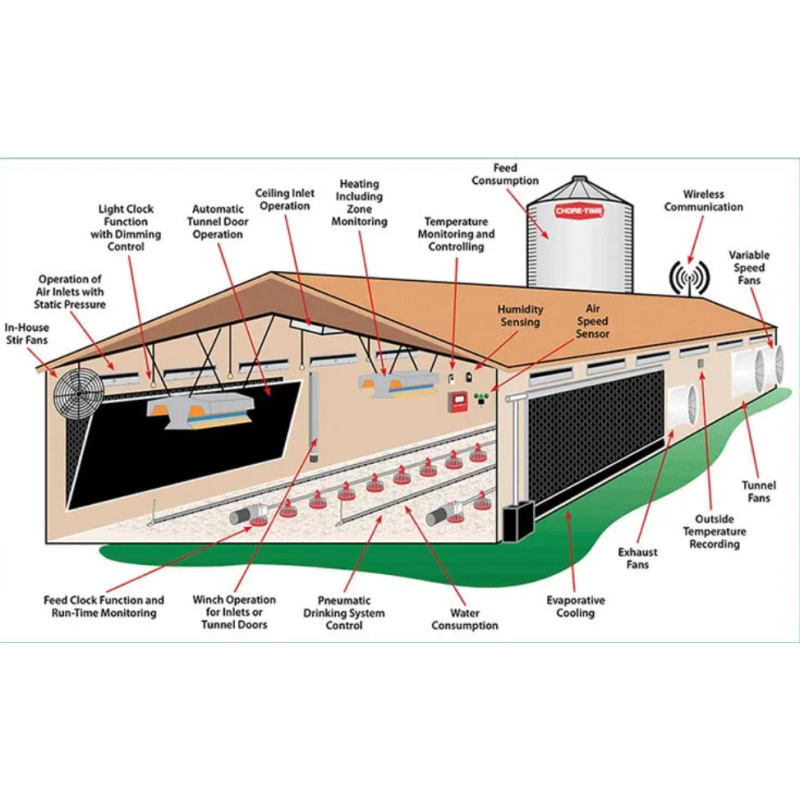 Full Automatic Broiler Ground Raising Equipment with Hot-Dip Galvanized Chicken House System Customizable for Poultry Farming