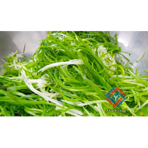 Автоматический шредер лук-порея зеленого лука весны обрабатывающего оборудования плода