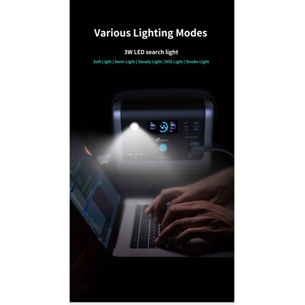 110v 220v 230v 700W 1000W 2000W Pure Wave Generator for and Portable Power Station