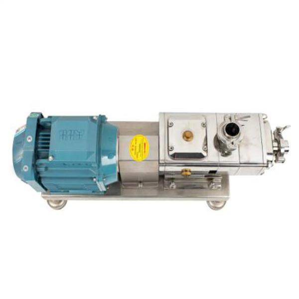 Pharmaceutical Industry Screw Vacuum Pump Explosion Proof With Compressor