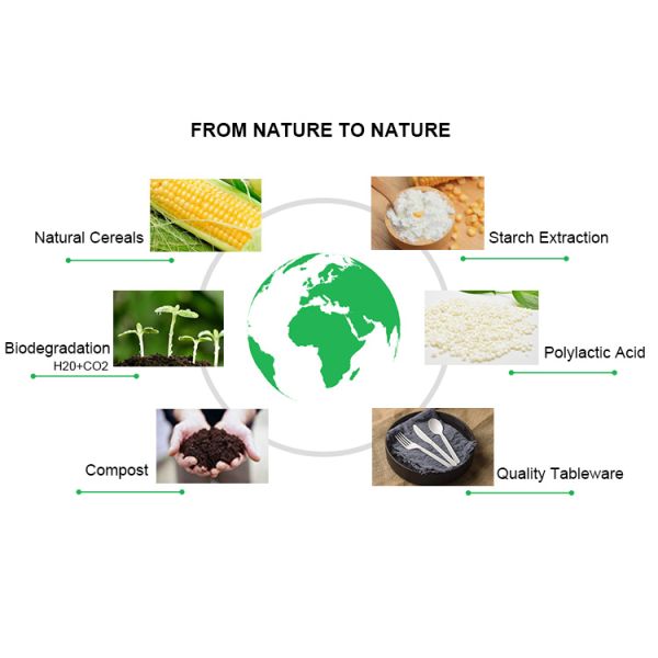 Biodegradable CPLA Knife Spoon And Fork For Lunch