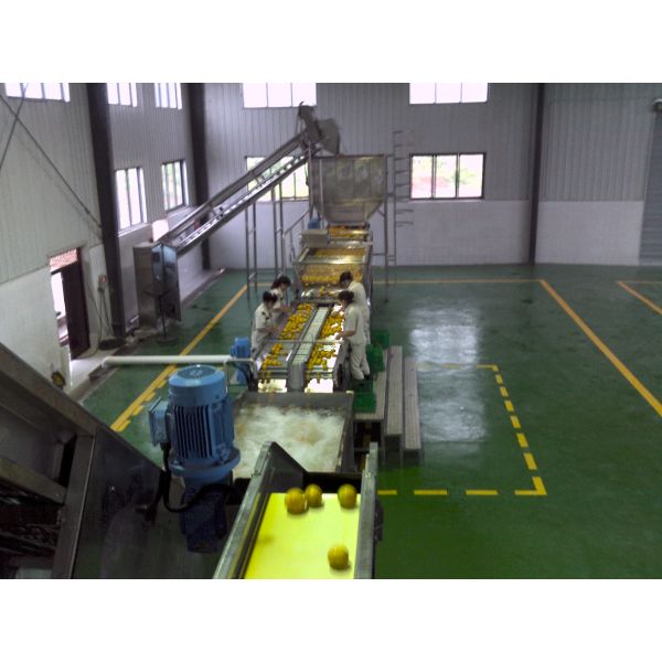 Automatic Complete Small Scale Orange Juicer Fruit Production Line Juice Filling Machine Beverage Filling Machinery
