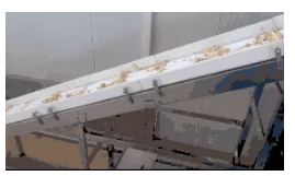 SR -300 Stainless Steel Pet Treats Biscuit Pressing Machine With CE Certificated