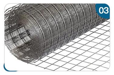 Directly Supply Welded Wire Mesh Roll for Rabbit and Bird Cage Corrosion Resistance