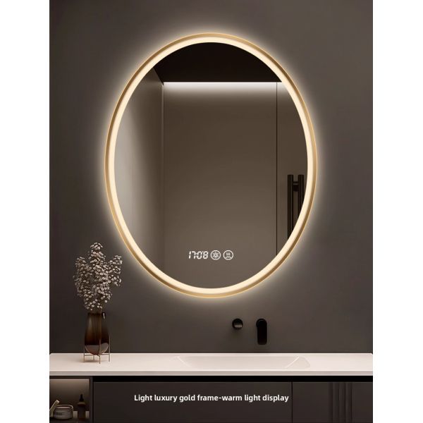 Modern Luxury Smart LED Vanity Mirror Oval Framed with Touch Switch Wall-Mounted Makeup Mirror for Salon Hotel Apartment