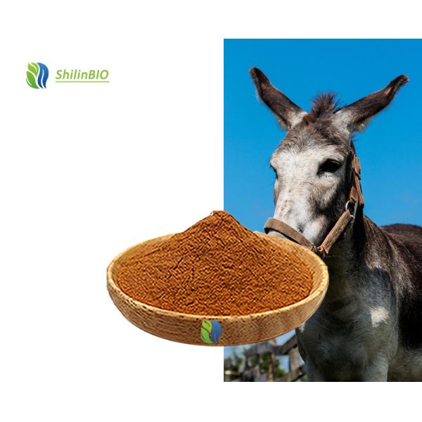 Factory Price Bulk Ejiao Extract Food Grade Donkey-hide Gelatin Powder