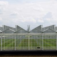 Tipo estufa de Venlo do período da estufa de vidro solar do cogumelo da tampa do inverno do jardim multi