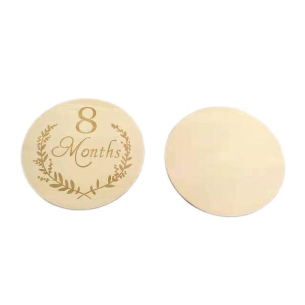 13-Piece Newborn Baby Monthly Milestone One-Sided Laser Cut Folk Art Words Poplar Stand for Photographs