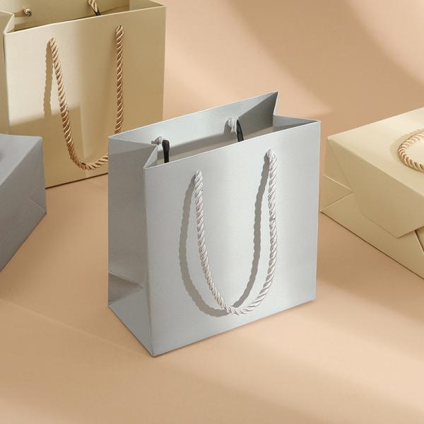 Paper Shopping Bags Premium Gift Packaging Handbag For Jewelry Box 