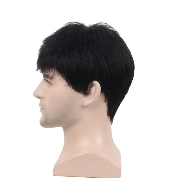 250g-450g Human Hair Wigs for Men 6inch Length Direct from Manufacturers at Best