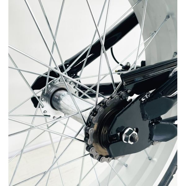 Gross Weight 25.0 KG 24-20