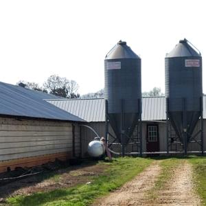 簡単に組み立てられる 50年以上の寿命の鋼製の鶏棚