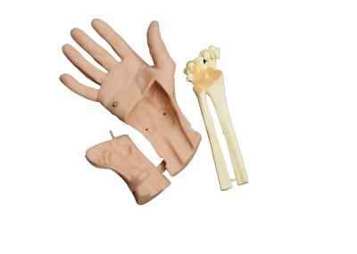 Wrist Arthroscopy operation human head anatomy model for nursing shool student