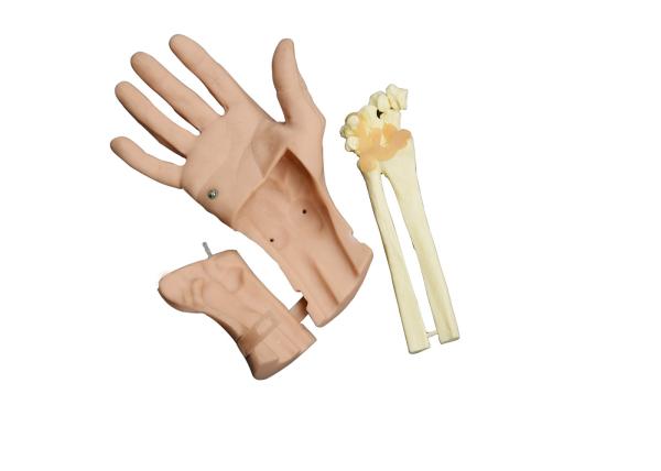 Wrist Arthroscopy operation human head anatomy model for nursing shool student