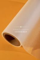 Film chaud Rolls de stratification d'extrusion multiple avec EVA de la meilleure qualité pour des magazines