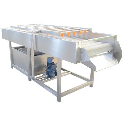 SUS304 Máquina de lavar frutas e legumes