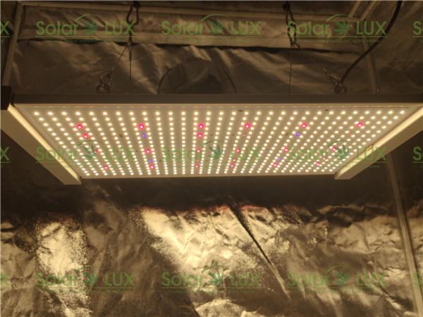 395nm UV IR 730nm 660nm vermelho 240w 2x2 conduzidos crescem a luz