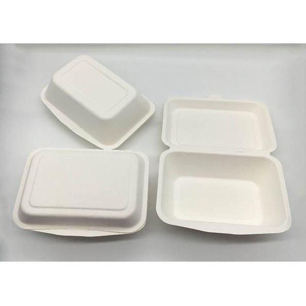 Recipientes de alimento afastado biodegradáveis naturais da polegada 7×5