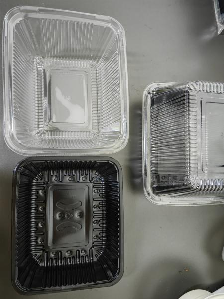 Caja de envasado de plástico PET desechable para sembrar brotes de judías y verduras