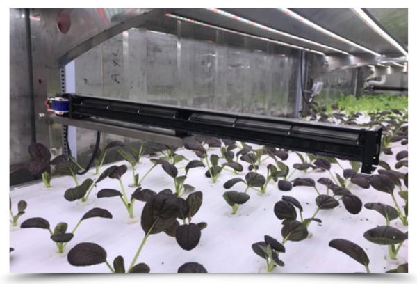 Efficiently Grow Crops Solar Agricultural Greenhouses  All Year Round