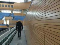 28/4mm Gym Veneer Linear Grooved Acoustic Wall Panels Sound Absorption Isolation Board