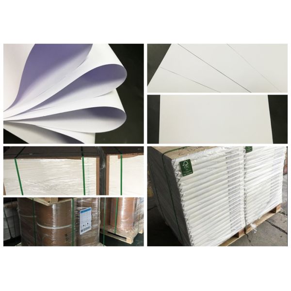 бумага 60гсм 70гсм 80гсм Ункоатед Воодфре для белизны учебников высокой