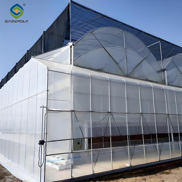 Personalized Blueberries Greenhouse With Plastic Covering Rainproof