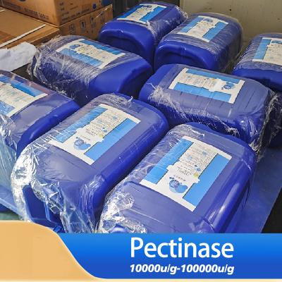 20000U/G Enzima pectinasa Pectinasa líquida Actividad enzimática personalizada