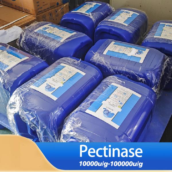 20000U/G Enzyme pectinase Enzyme pectinase liquide Activité enzymatique personnalisée