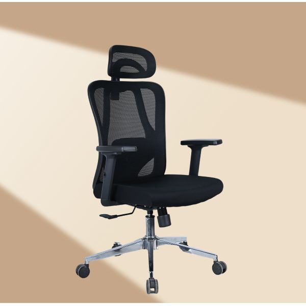 Executive Ergonomic Office Chair with 2D Armrest / 2D Back Lumbar Part
