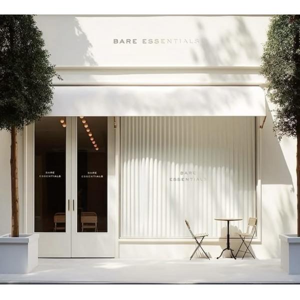 Automatic Battery Operated Motorized Blackout Zebra Roller Blinds Curtains For Windows Zigbee APP