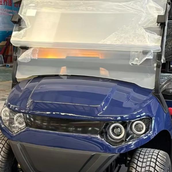 New Energy Blue Golf Cart 2 Person 48 Volt Electric Club Car Manufacturer