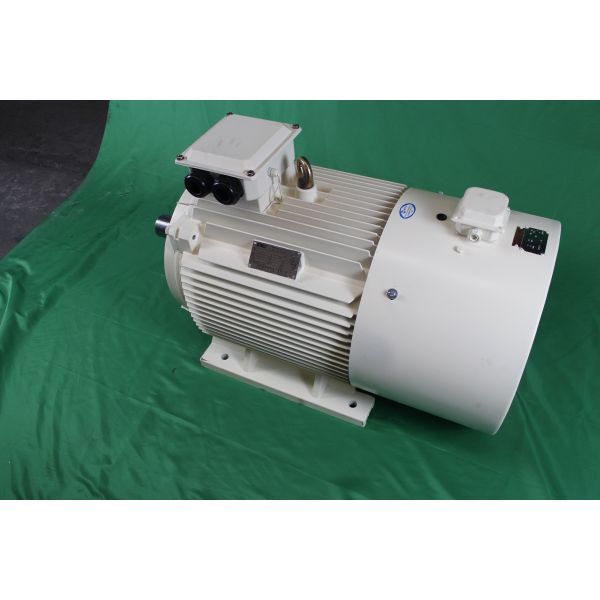 YVFE3 250M-2 55kW 380V Variable Frequency Drive Motor IEC 60034-30