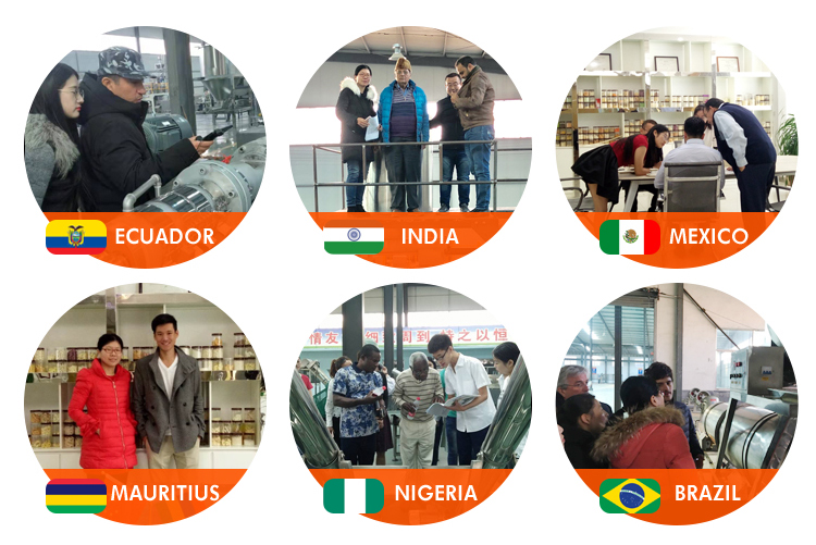 Жареные тортильи Нахосы Кукурузная сладкая закуска чипсы оборудование для производства серебряных изделий