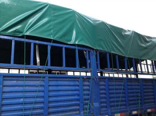 Weave liso revestido claro de tela de malha do poliéster do PVC para barracas exteriores