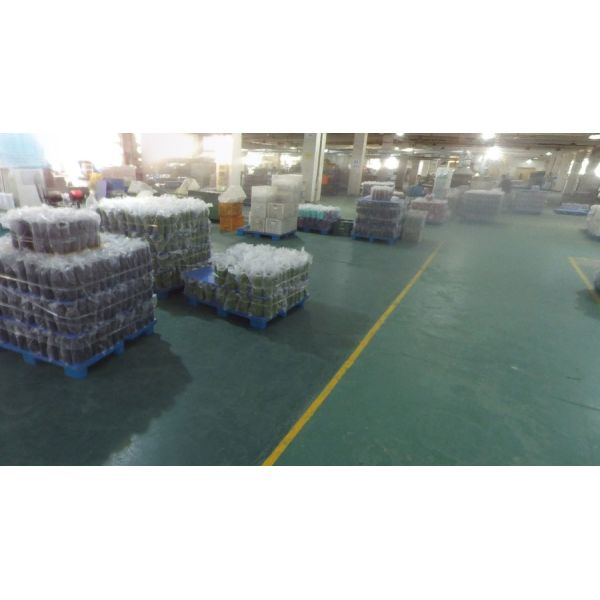 Anhui easton trade co.,ltd