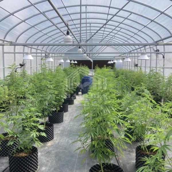10x50m Polytunnel Berry Poly High Tunnel Greenhouse Film Tunnel Greenhouse Kit