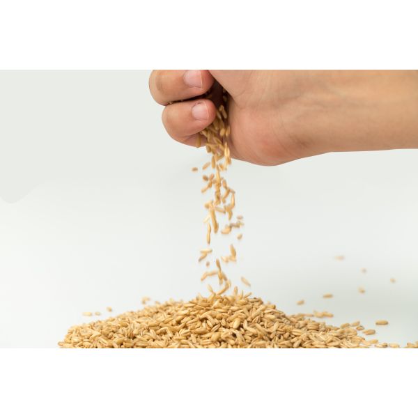 Environmentally Friendly Premium Potassium Fulvate Fertilizer Organic Powder With Over 60% Fulvic Acid