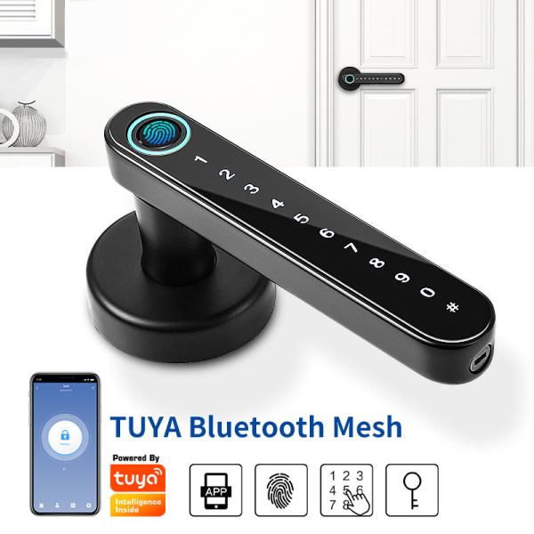 Serrure de porte biométrique Keyless d'empreinte digitale de système de Smart Home